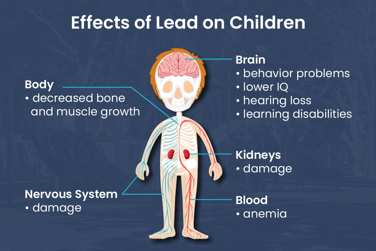 diagram showing the effects of lead on children