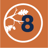 oak branch with number 8