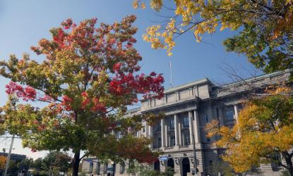 City Hall in fall