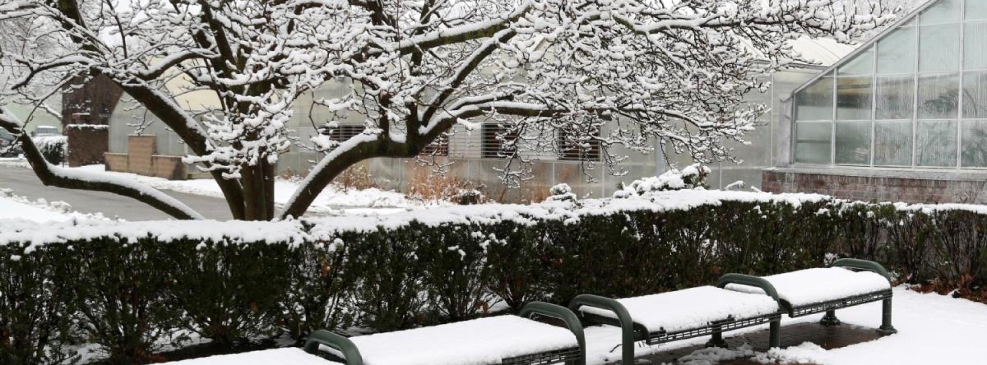 photo of a park bench covered with snow